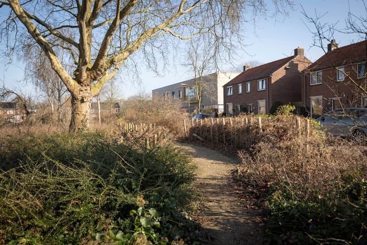 Foto 29 van Ruysdaelstraat 48