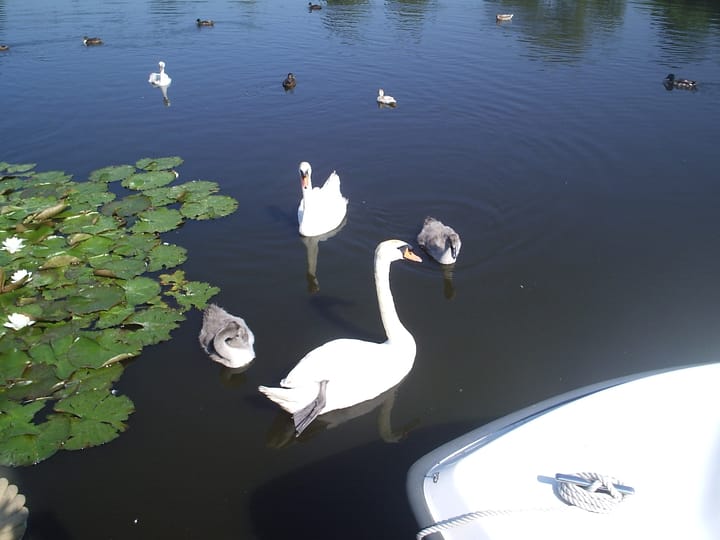 Foto 61 van Kapelhof 89