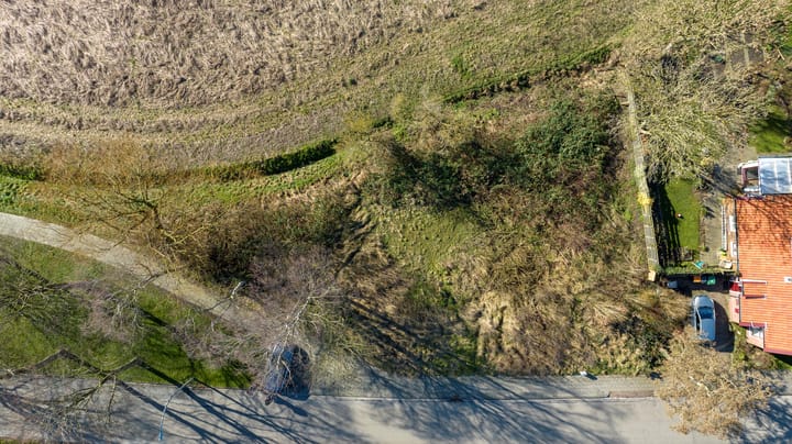 Foto 2 van Hamrikkerweg