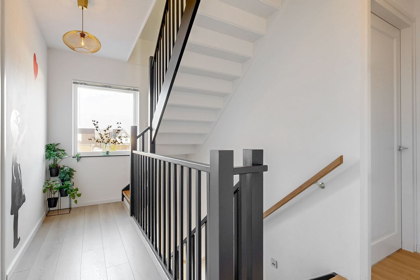 Photo 25 of Lavendellint 11