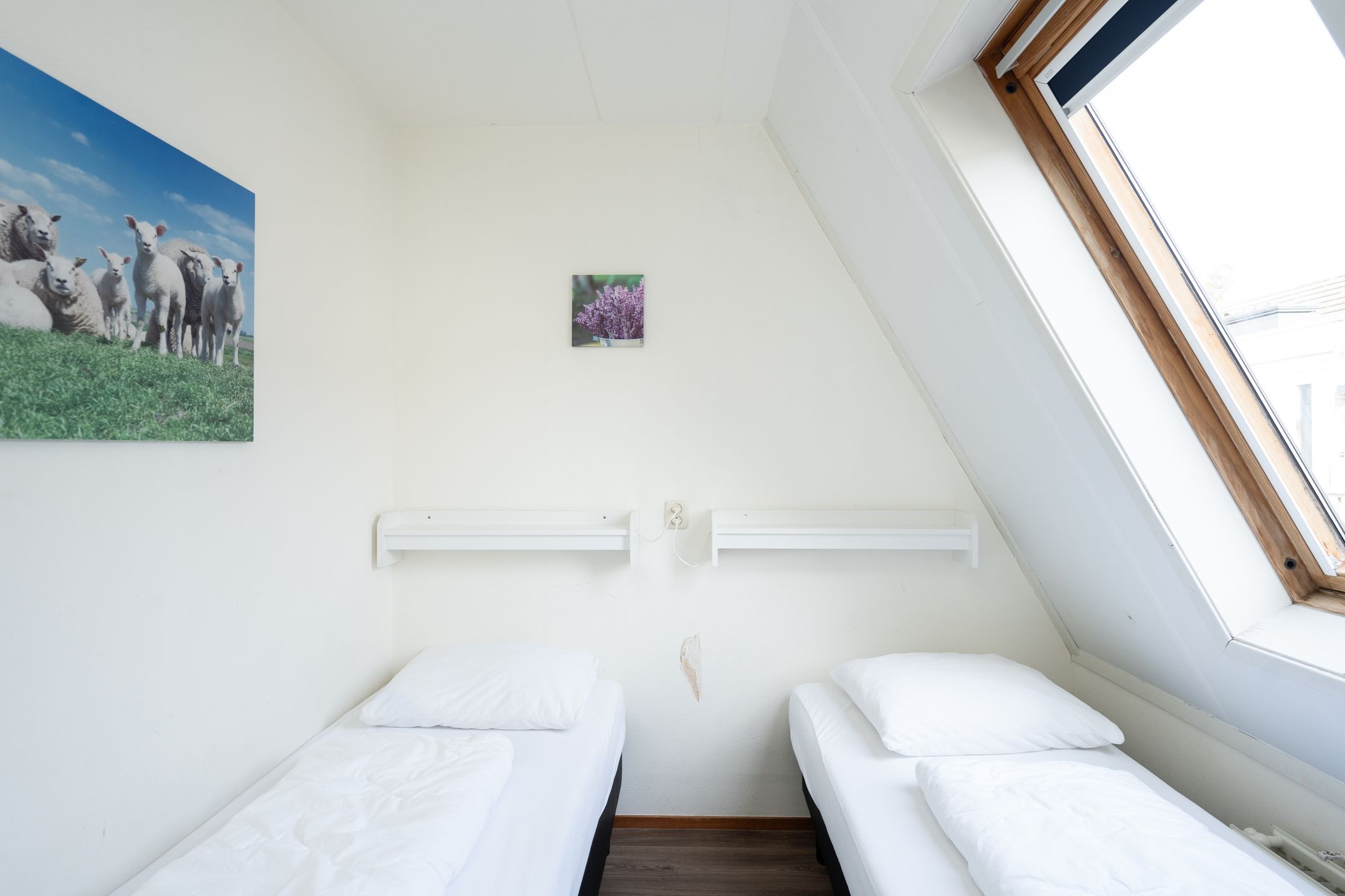 Foto 12 van Californiëweg 487