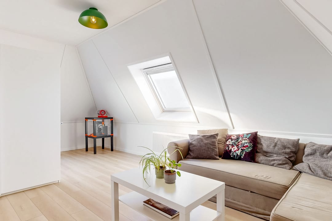 Photo 43 of Lavendellint 11