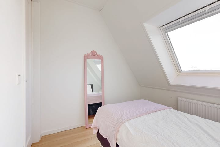 Foto 50 van Lavendellint 11