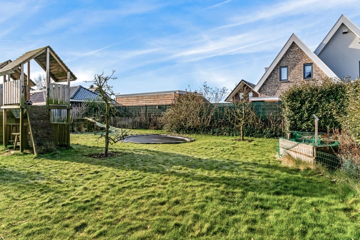 Foto 60 van Lavendellint 11