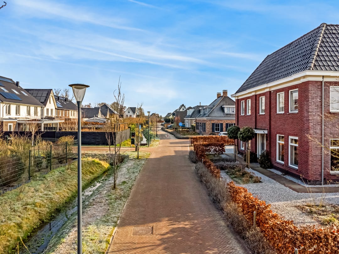 Photo 62 of Lavendellint 11