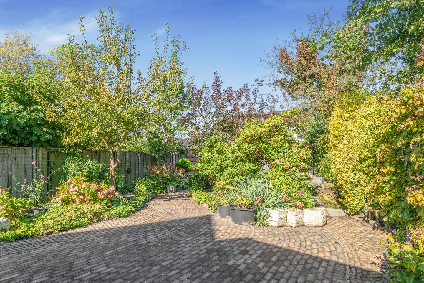 Foto 34 van Burgemeester Nieuwenhuijsenstraat 52