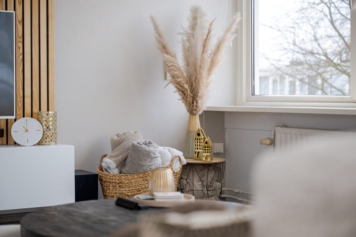 Foto 22 van Tsjaikovskilaan 39