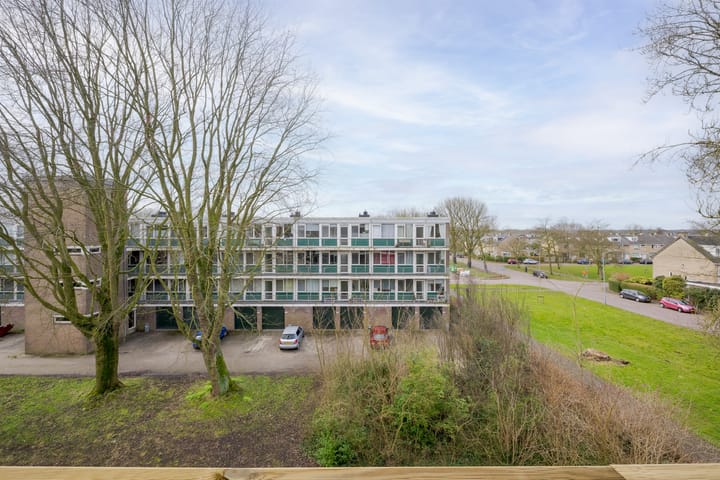 Foto 33 van Tsjaikovskilaan 39