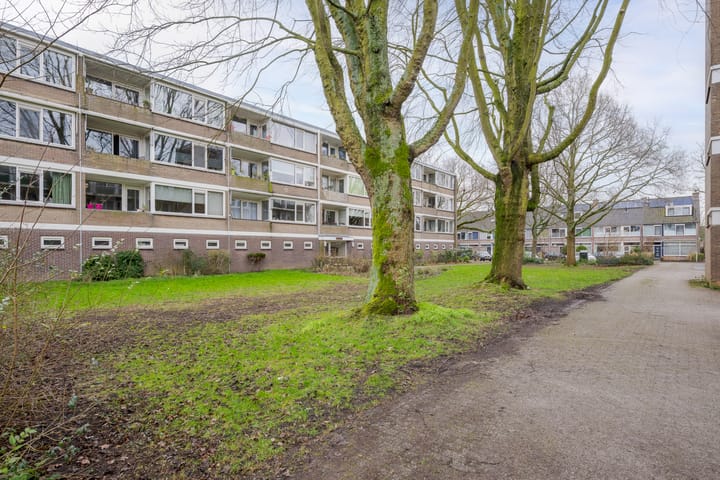 Foto 34 van Tsjaikovskilaan 39