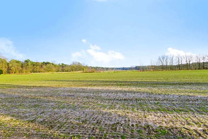 Foto 24 van Planterslaan 2