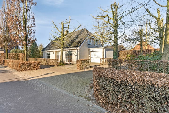 Foto 2 van Sleutelbloem 13