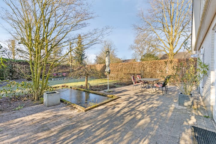 Foto 19 van Sleutelbloem 13