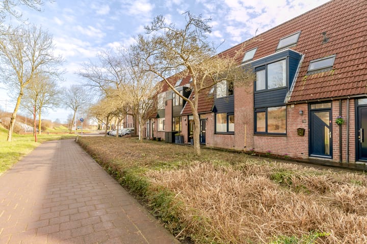 Foto 3 van Peterselieakker 10