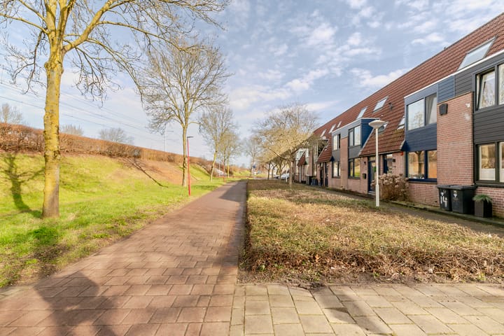 Foto 4 van Peterselieakker 10