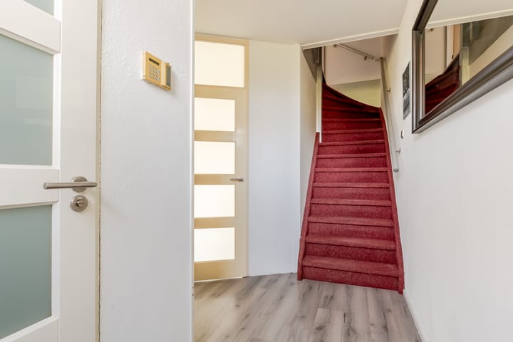 Foto 5 van Peterselieakker 10