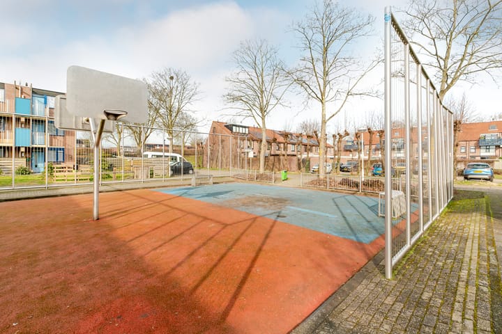 Foto 31 van Peterselieakker 10