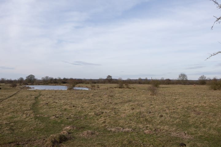 Foto 76 van Brouwersstraat 26