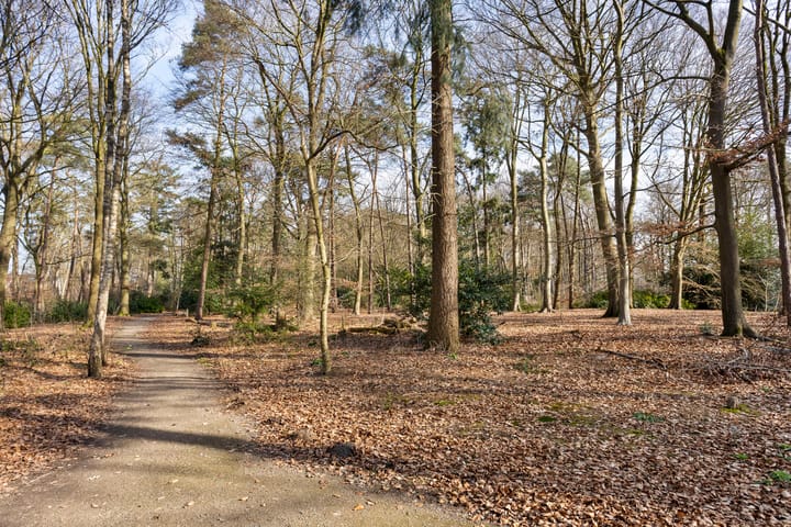 Foto 56 van Geukerdijk 92