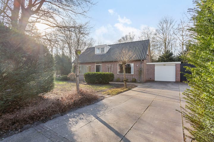 Photo 5 of De Omloop 15