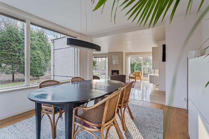 Photo 12 of De Omloop 15