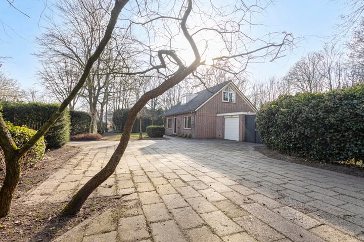 Photo 29 of De Omloop 15