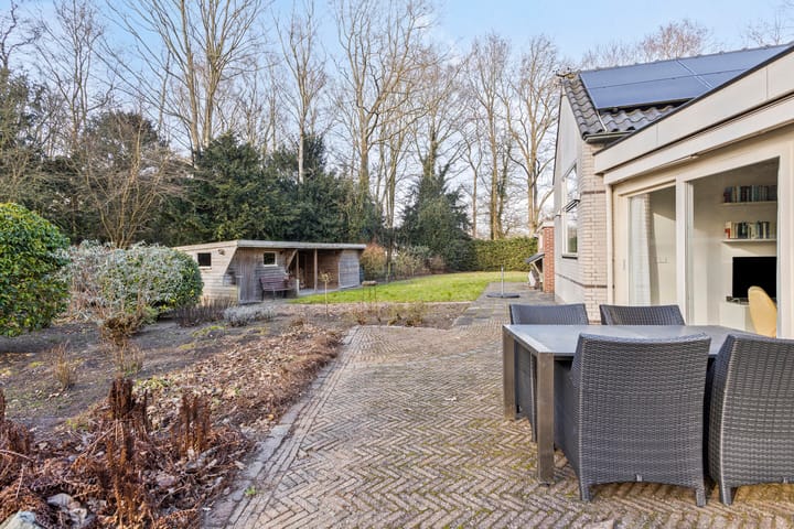 Photo 32 of De Omloop 15