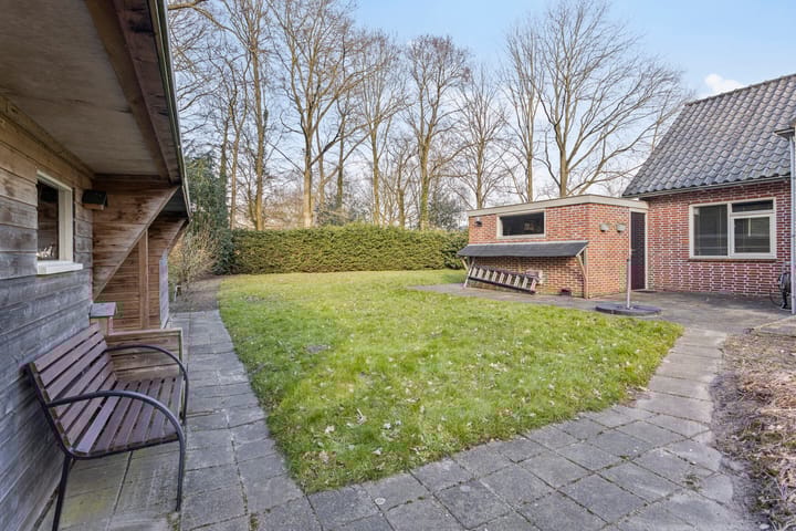 Photo 34 of De Omloop 15