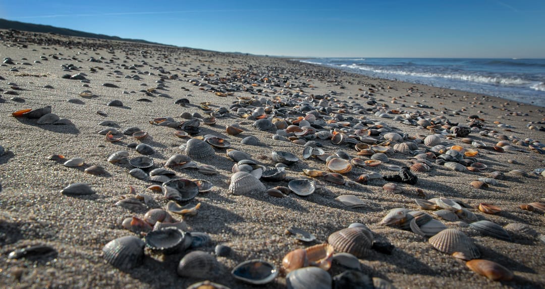 Foto 22 van Ooghduyne 322