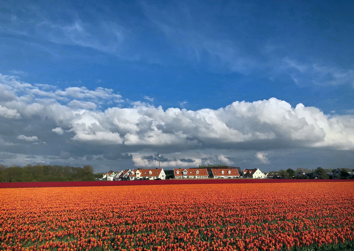 Foto 25 van Ooghduyne 322