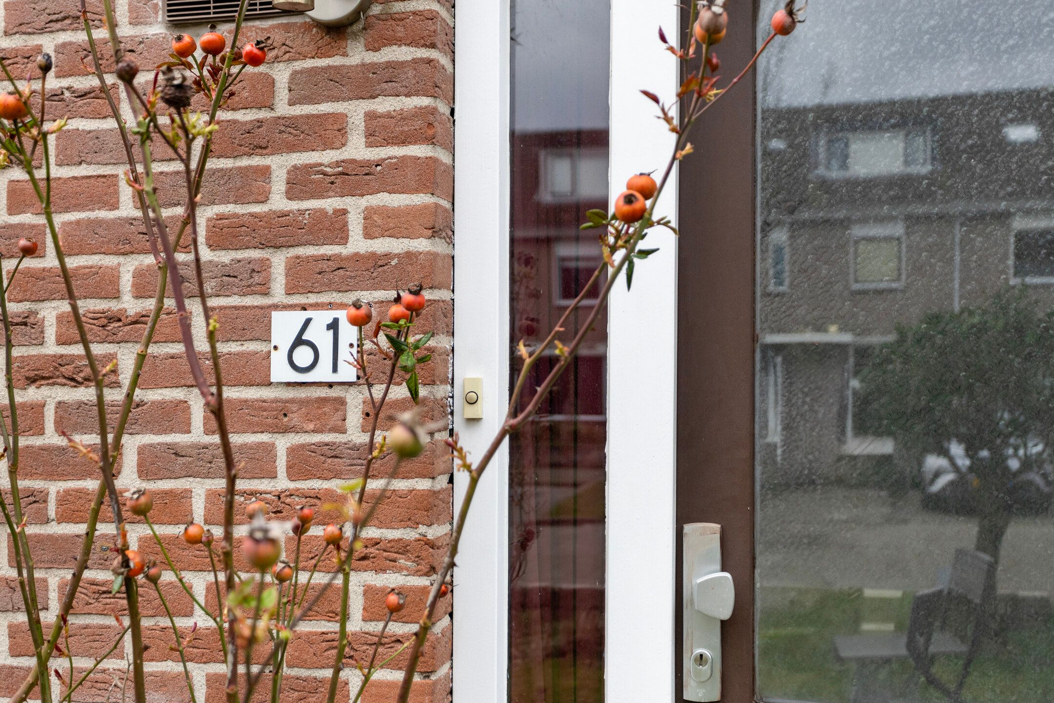 Photo 6 of Krommekamp 61