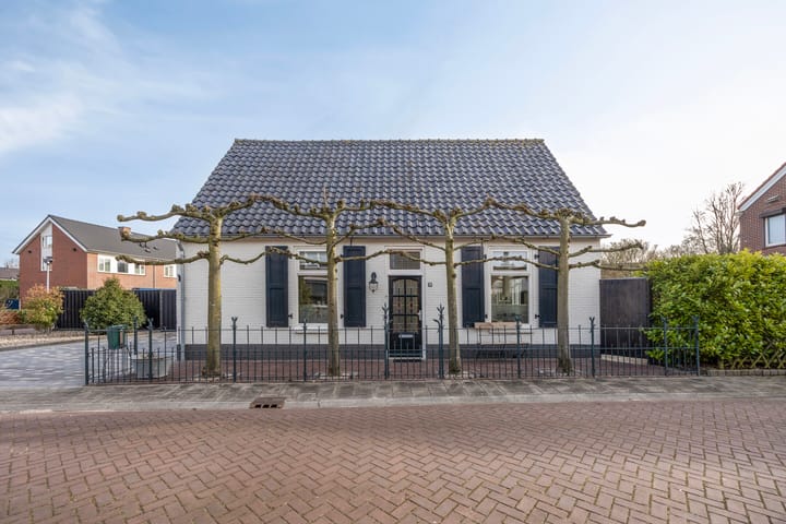 undefined main image