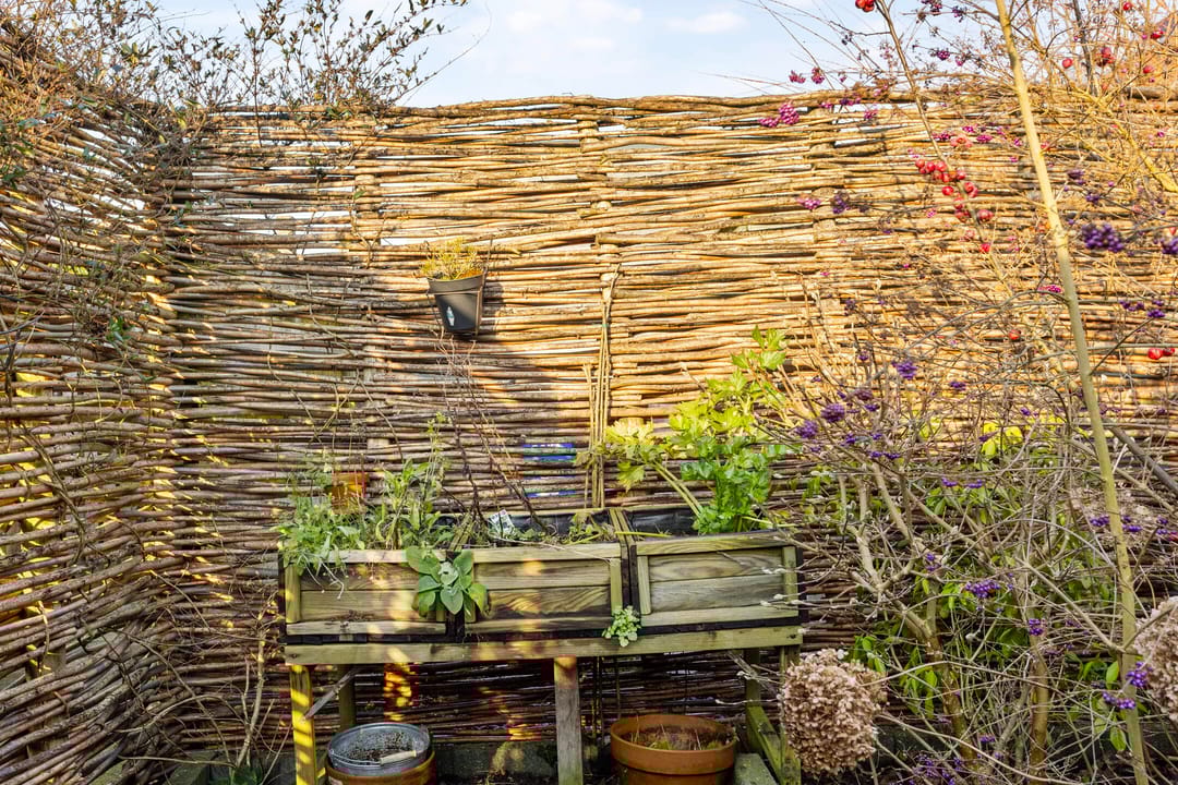 Foto 22 van Torenmeesterstraat 22