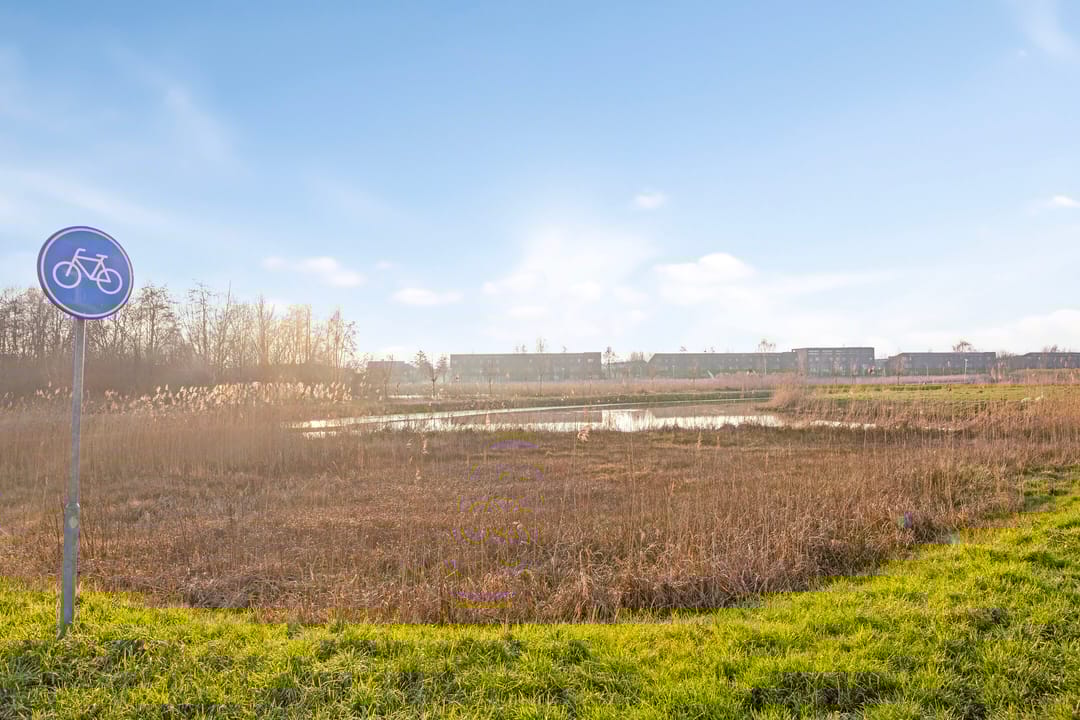 Foto 23 van Torenmeesterstraat 22