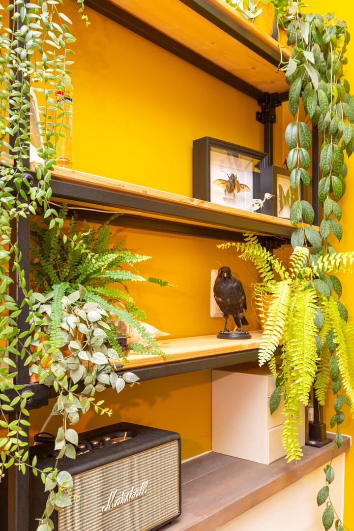 Foto 35 van Westerstraat 191