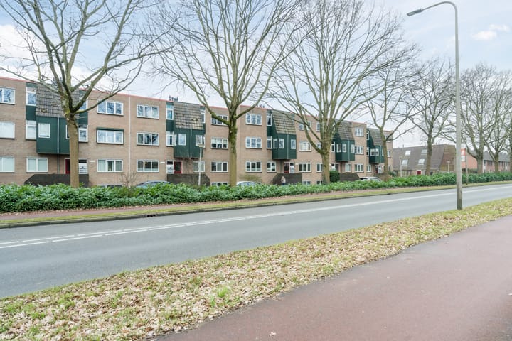 Foto 35 van Rosmolen 39