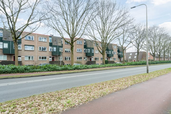 Foto 42 van Rosmolen 39