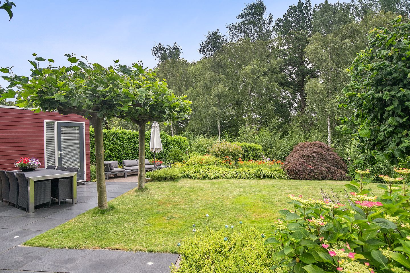 Foto 4 van Fonteinkruid 5