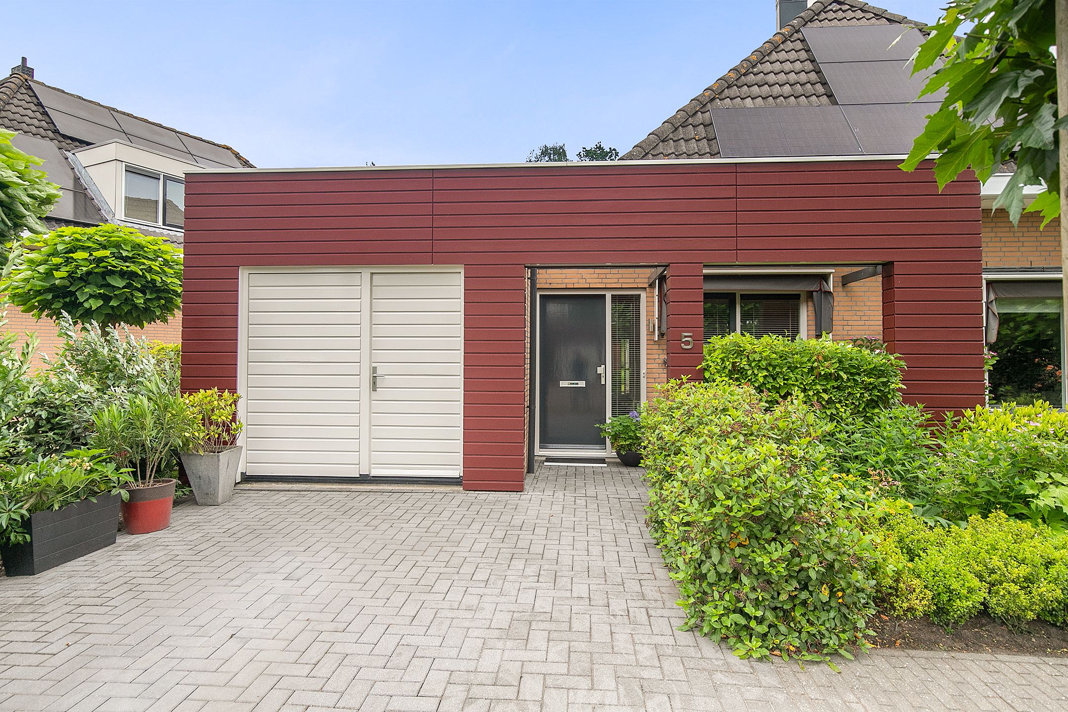 Foto 6 van Fonteinkruid 5