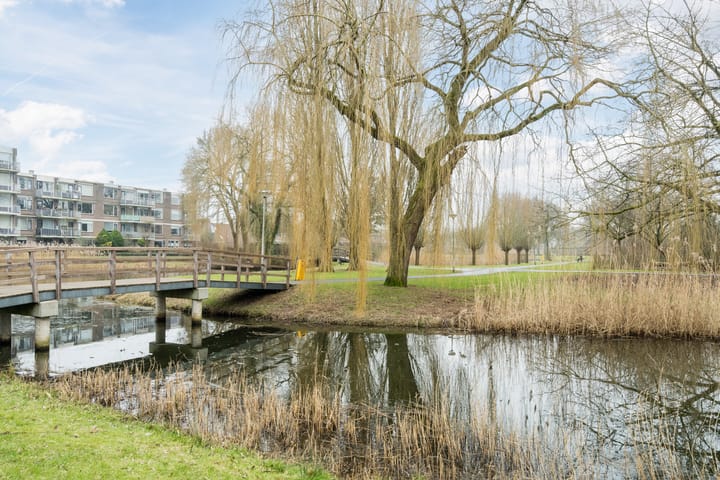 Foto 47 van Rosmolen 39