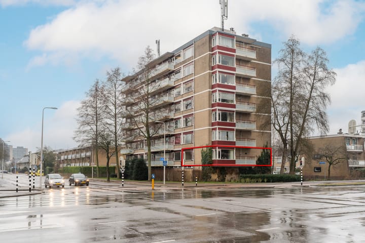 Molengraaffplantsoen 29