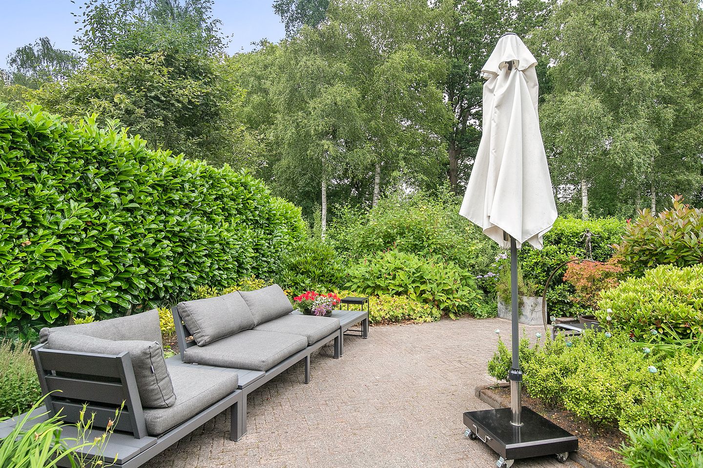 Foto 35 van Fonteinkruid 5