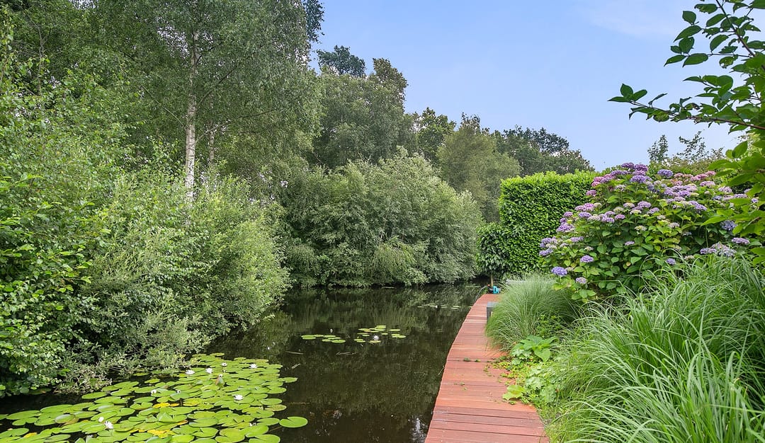 Foto 37 van Fonteinkruid 5