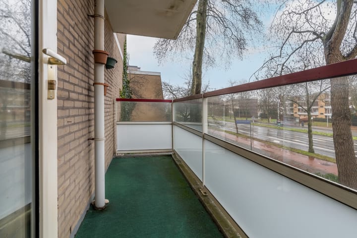 Foto 7 van Molengraaffplantsoen 29