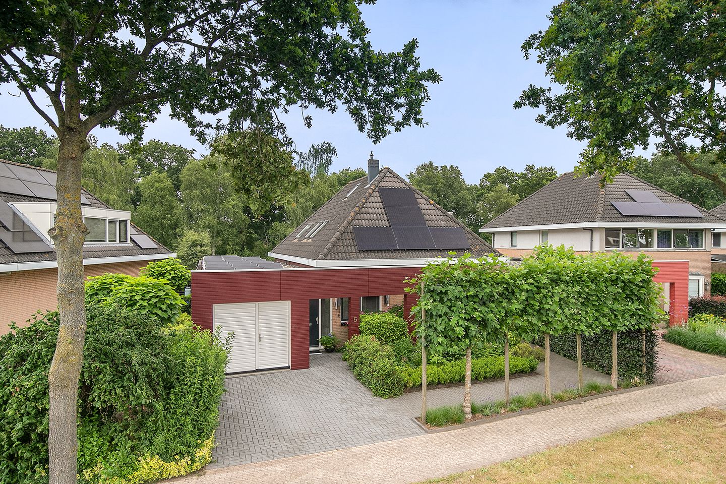 Foto 40 van Fonteinkruid 5