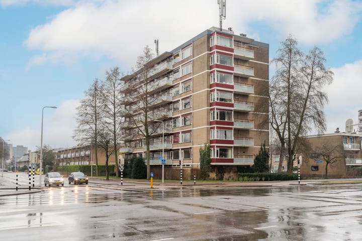 Foto 21 van Molengraaffplantsoen 29