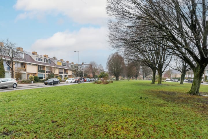 Foto 23 van Molengraaffplantsoen 29