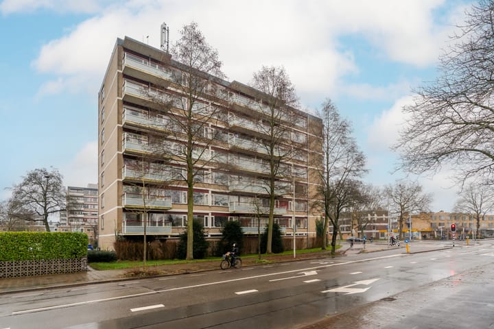 Foto 22 van Molengraaffplantsoen 29