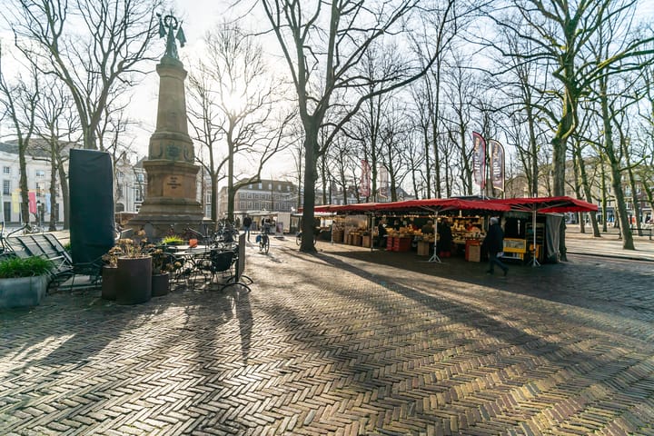 Foto 14 van Alexanderstraat 19