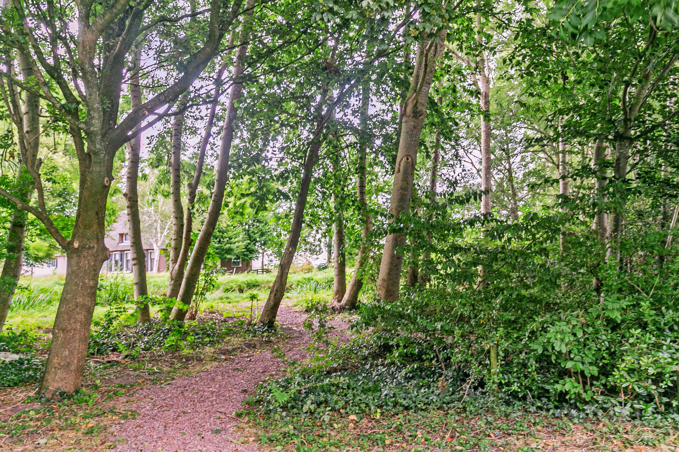 Foto 36 van Burgemeester de Herderplantsoen 68