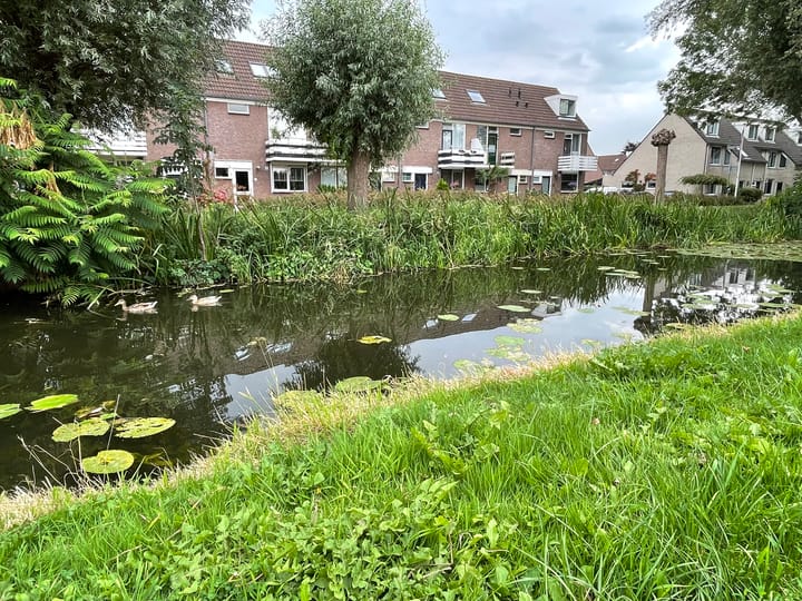 Foto 40 van Burgemeester de Herderplantsoen 68